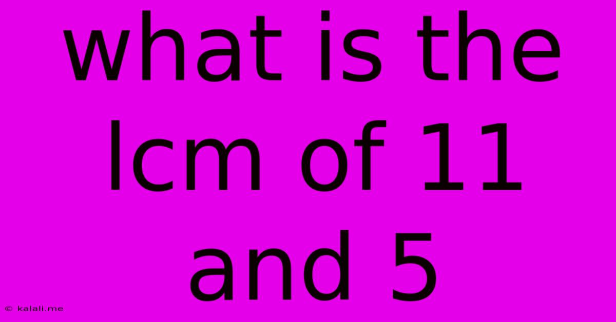 What Is The Lcm Of 11 And 5