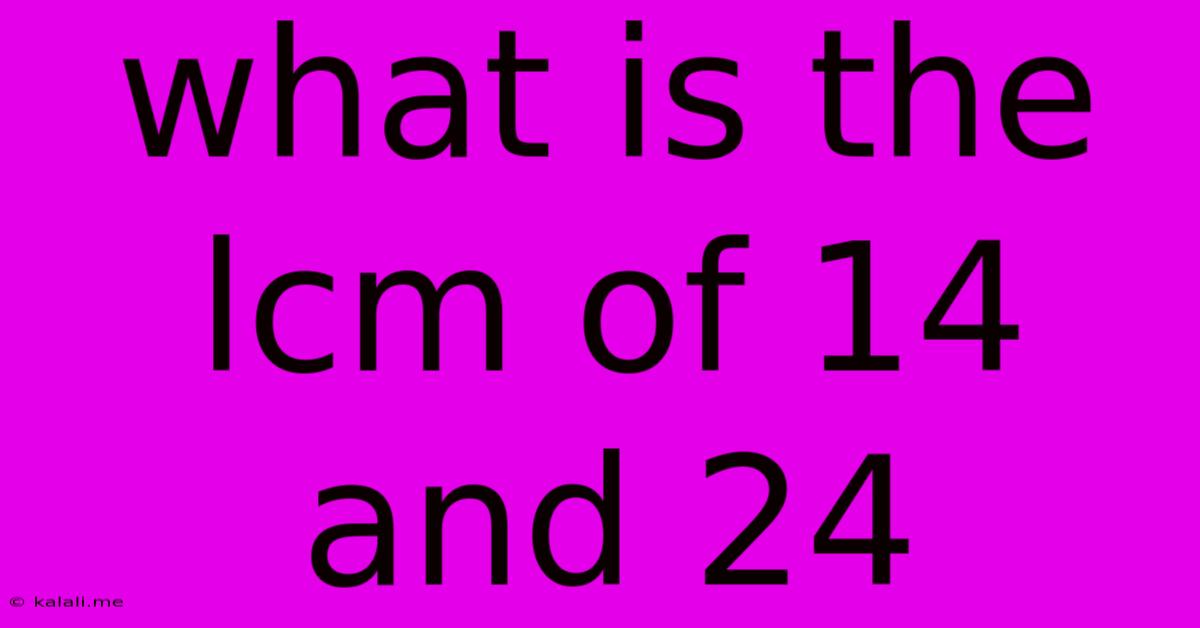 What Is The Lcm Of 14 And 24
