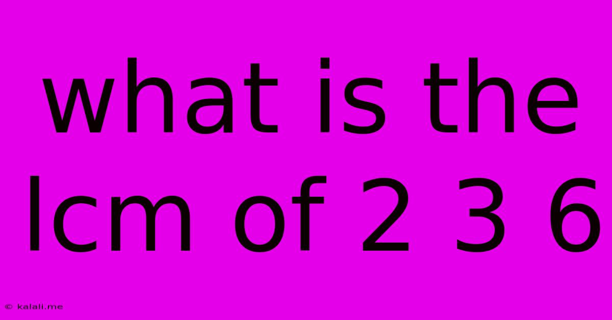 What Is The Lcm Of 2 3 6
