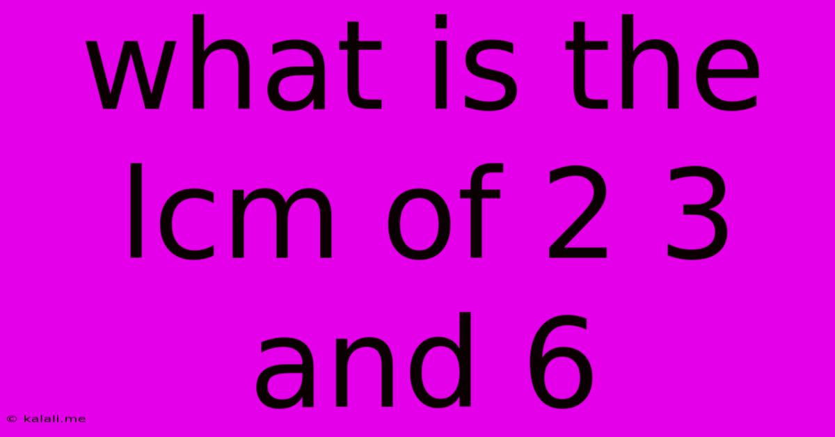 What Is The Lcm Of 2 3 And 6