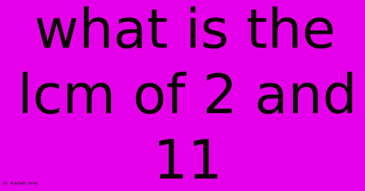 What Is The Lcm Of 2 And 11