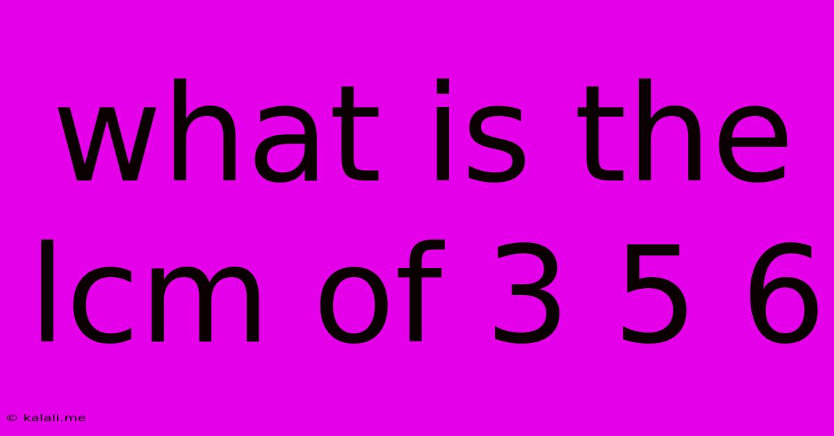 What Is The Lcm Of 3 5 6