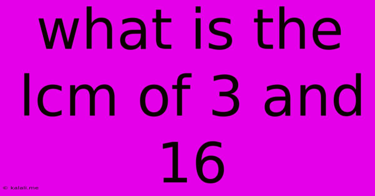 What Is The Lcm Of 3 And 16
