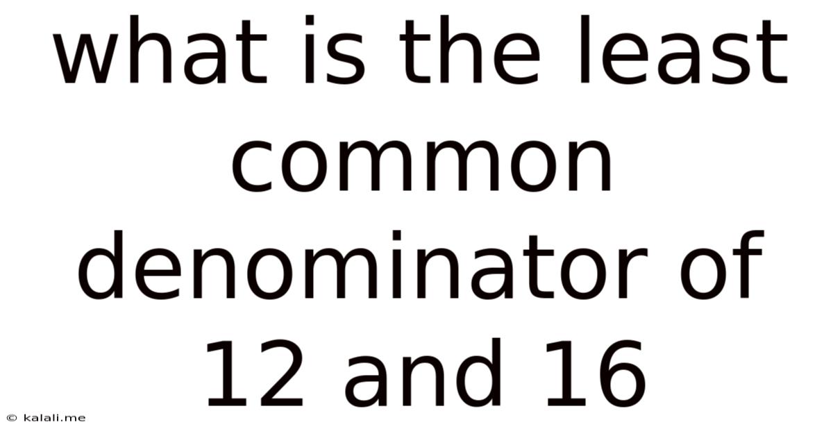 What Is The Least Common Denominator Of 12 And 16
