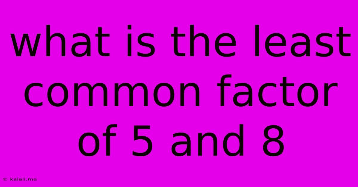 What Is The Least Common Factor Of 5 And 8