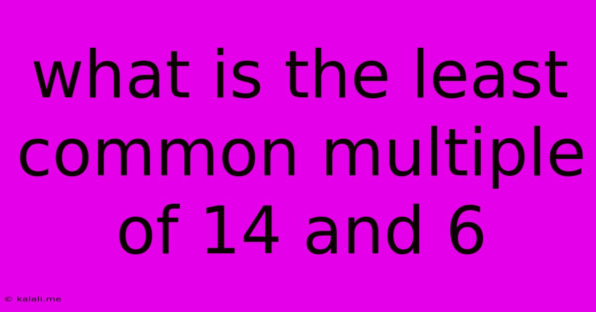 What Is The Least Common Multiple Of 14 And 6