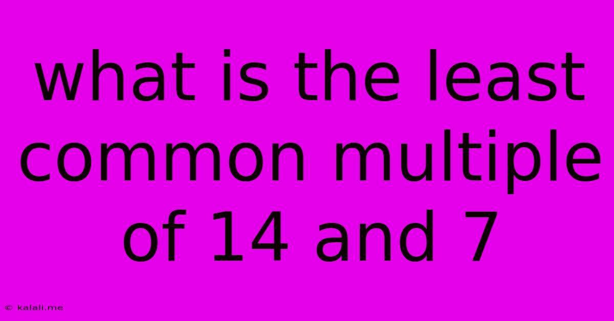 What Is The Least Common Multiple Of 14 And 7