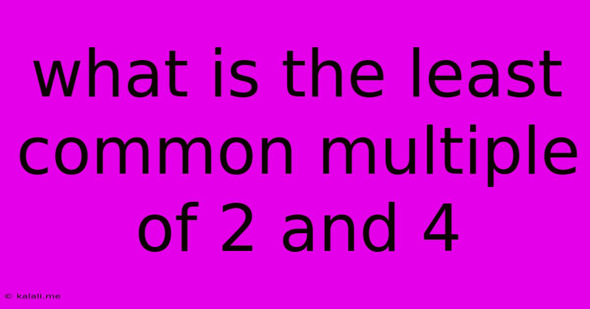 What Is The Least Common Multiple Of 2 And 4