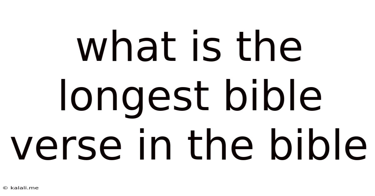 What Is The Longest Bible Verse In The Bible