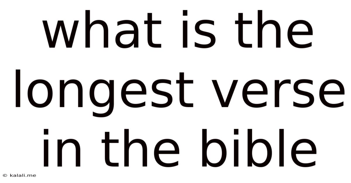 What Is The Longest Verse In The Bible