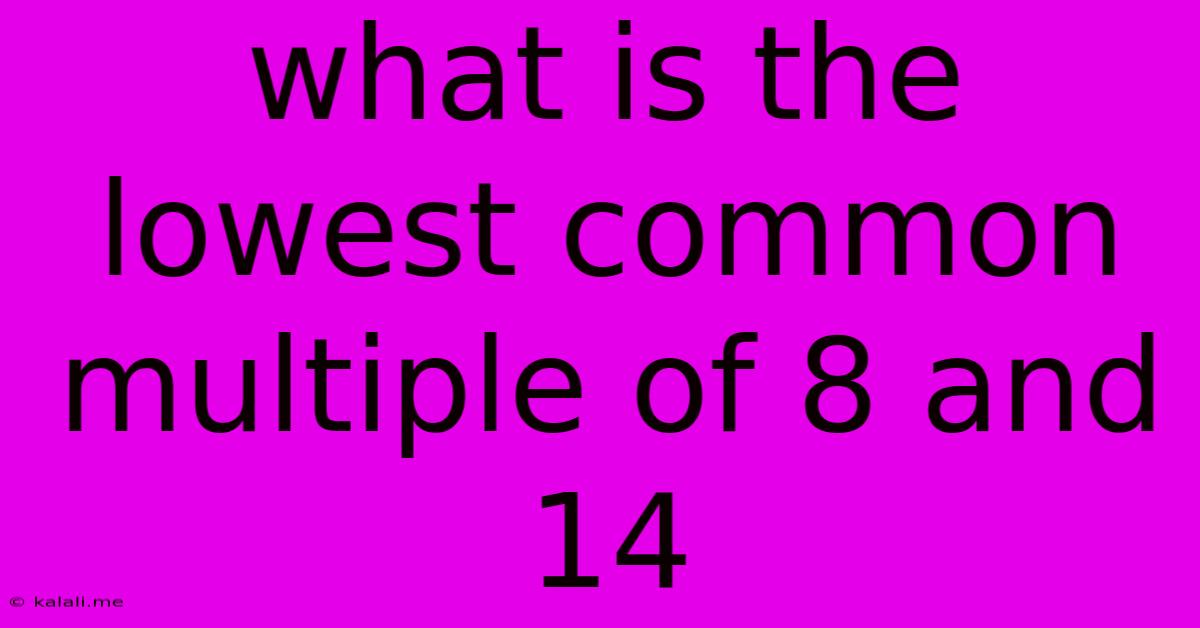 What Is The Lowest Common Multiple Of 8 And 14