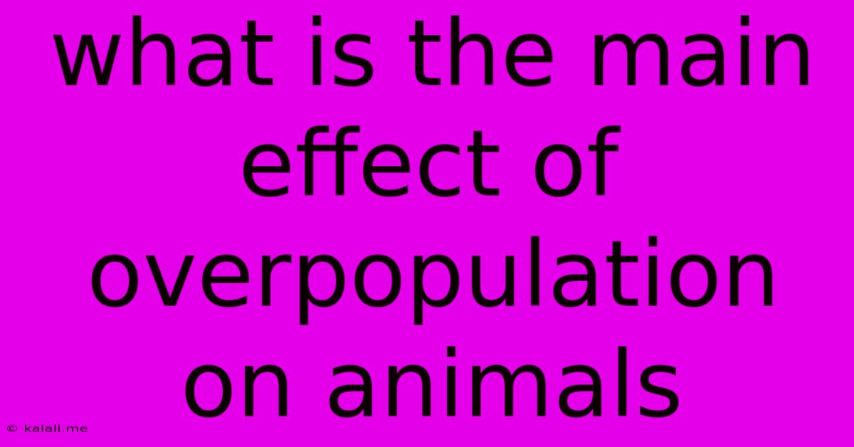What Is The Main Effect Of Overpopulation On Animals