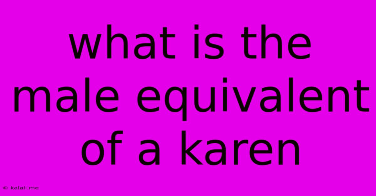 What Is The Male Equivalent Of A Karen