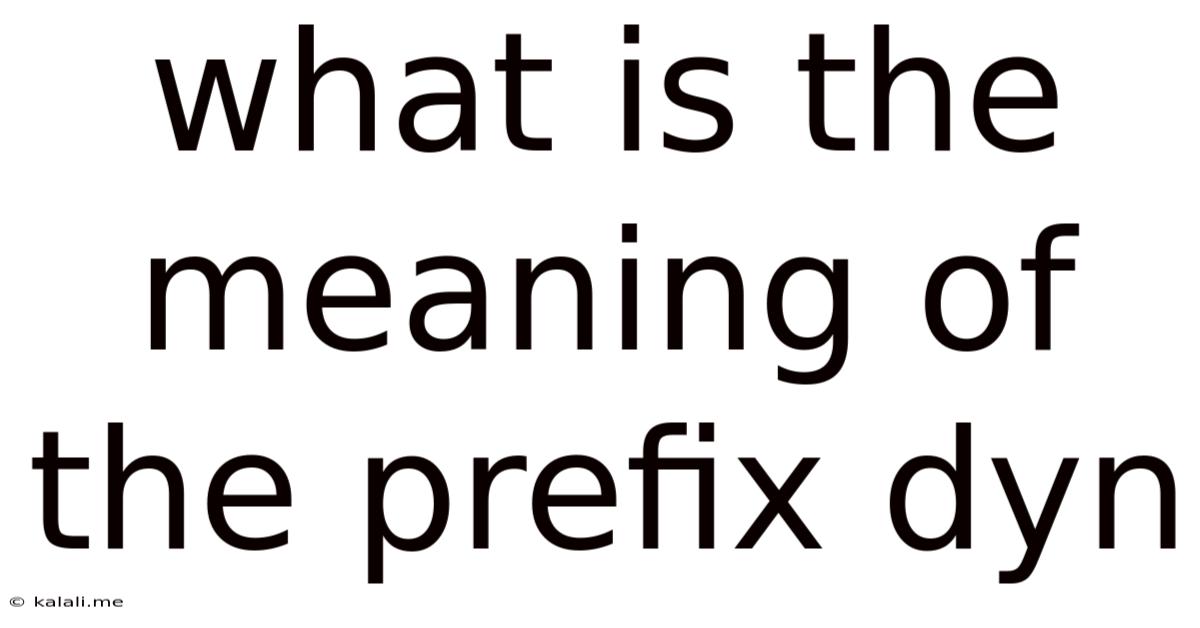 What Is The Meaning Of The Prefix Dyn