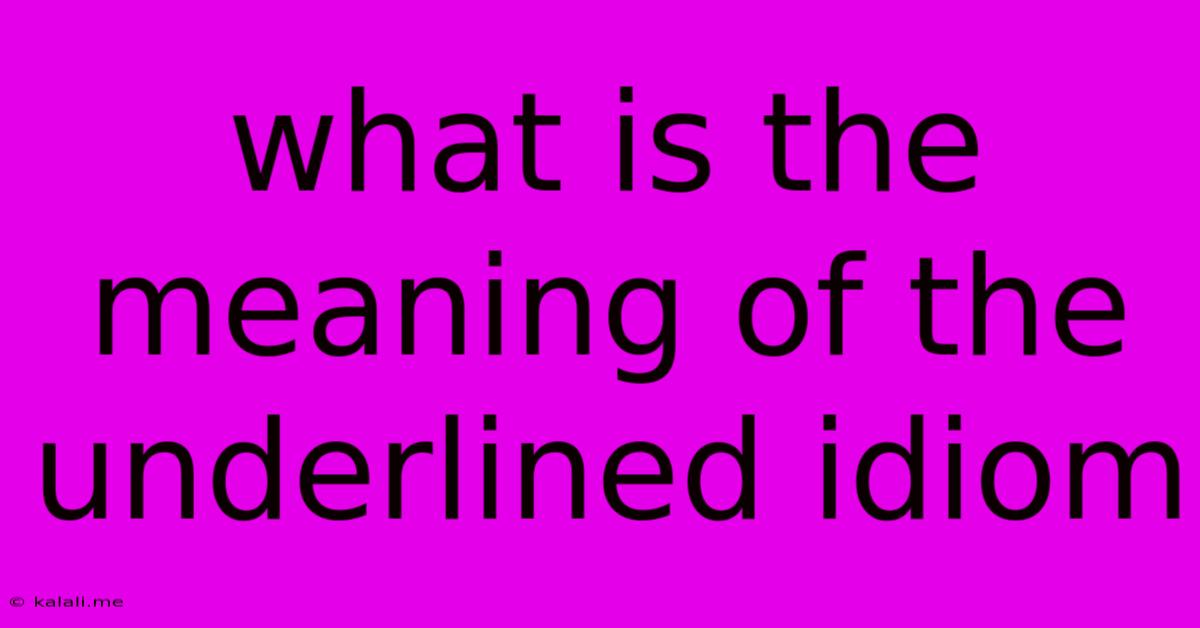 What Is The Meaning Of The Underlined Idiom