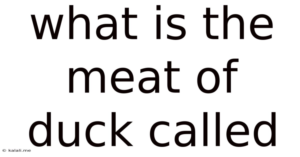 What Is The Meat Of Duck Called