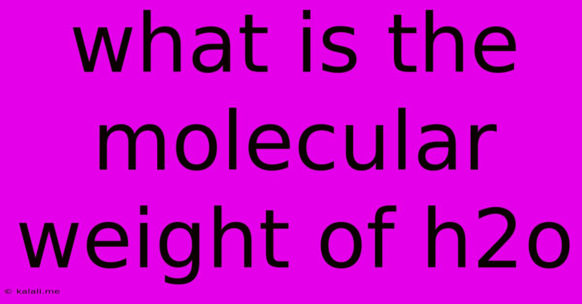 What Is The Molecular Weight Of H2o