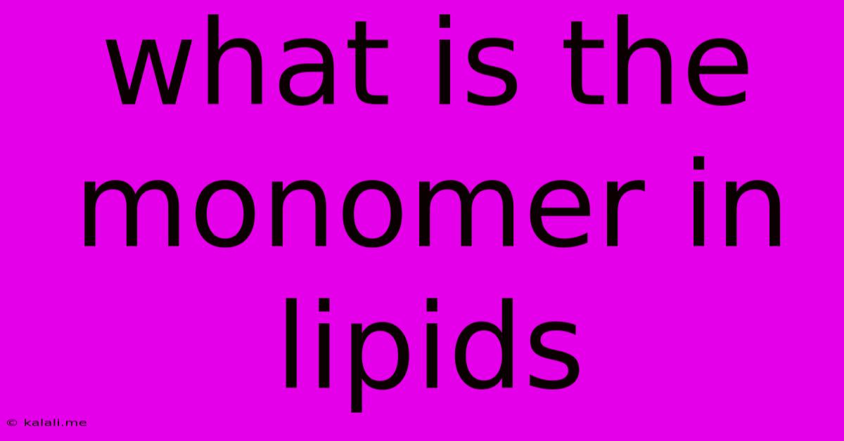 What Is The Monomer In Lipids