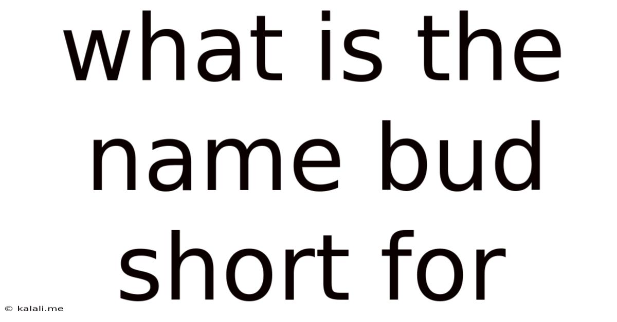 What Is The Name Bud Short For