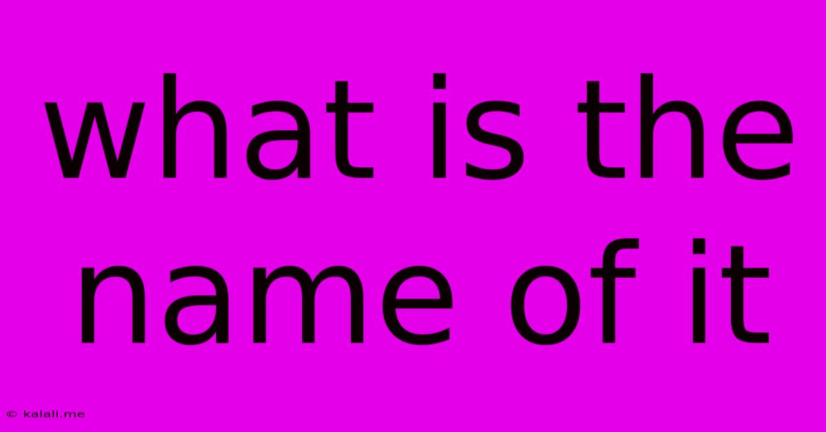 What Is The Name Of It
