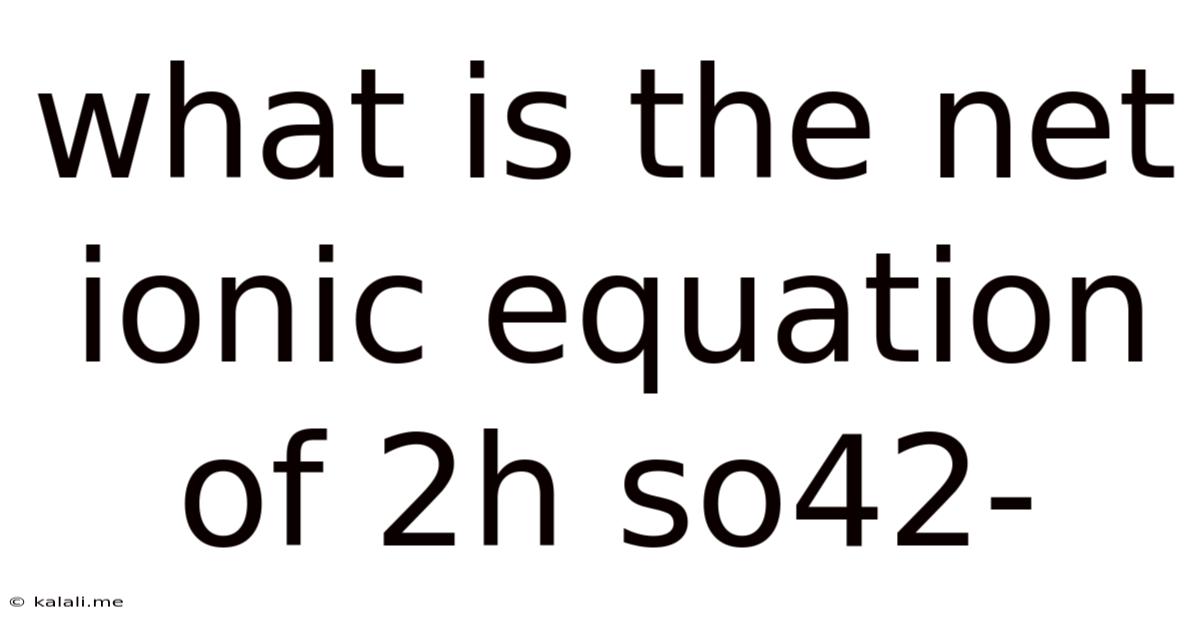 What Is The Net Ionic Equation Of 2h So42-