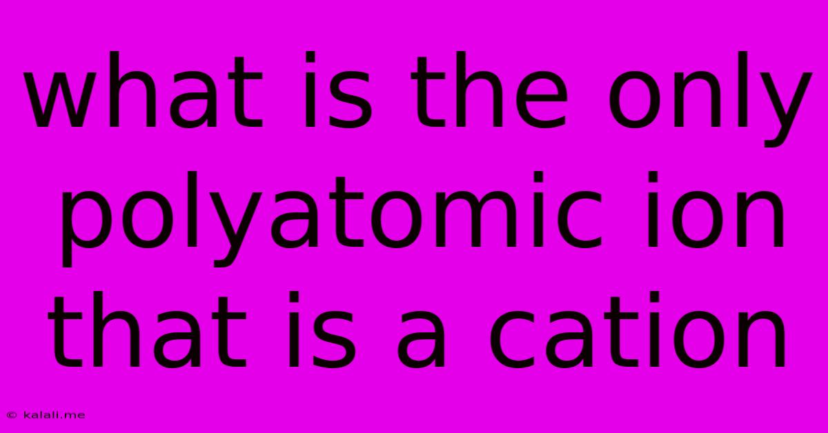What Is The Only Polyatomic Ion That Is A Cation