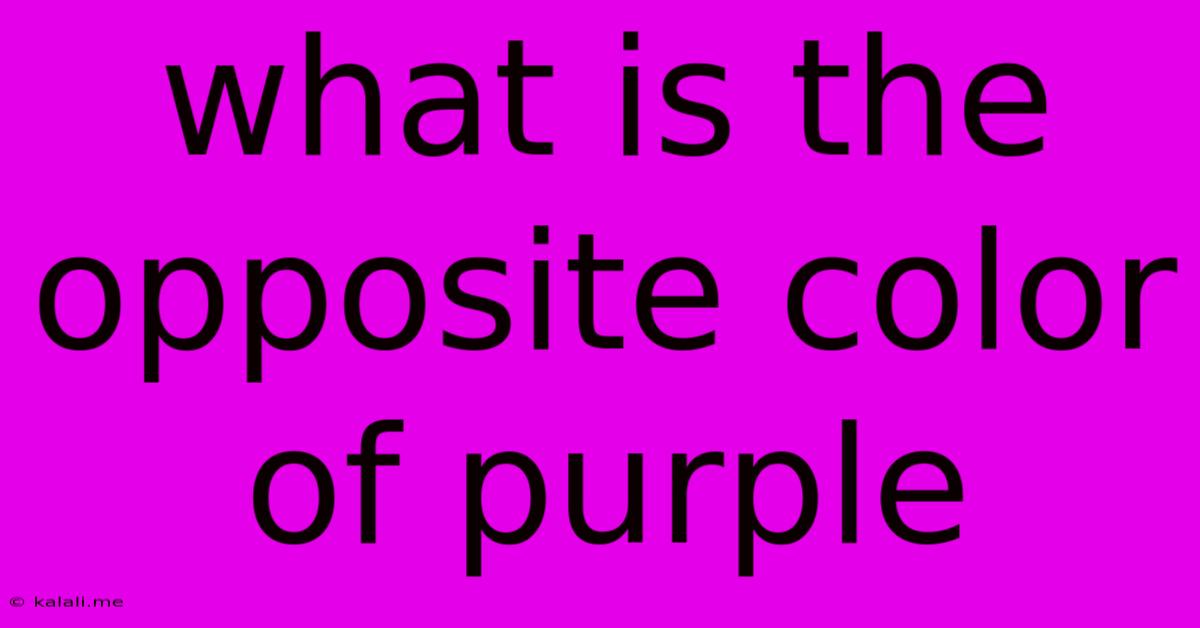 What Is The Opposite Color Of Purple