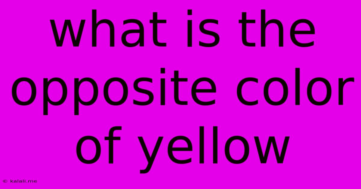 What Is The Opposite Color Of Yellow