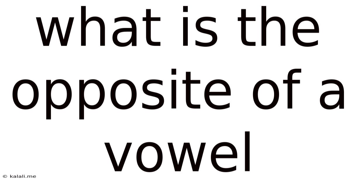 What Is The Opposite Of A Vowel