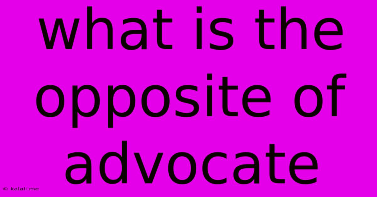 What Is The Opposite Of Advocate