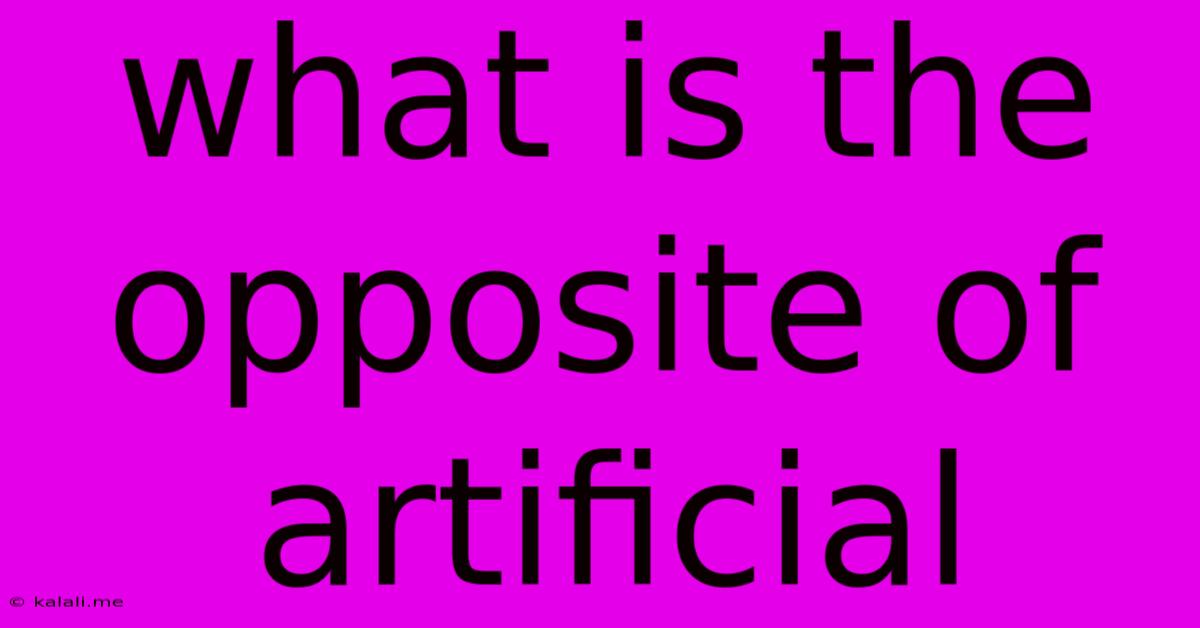What Is The Opposite Of Artificial