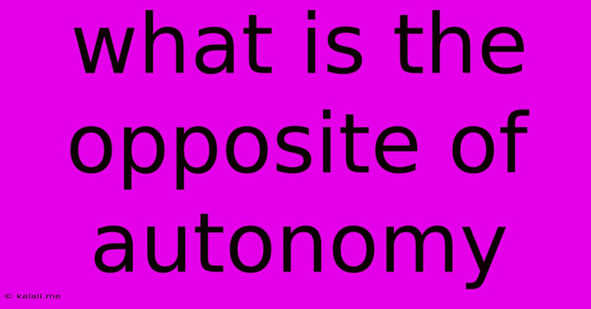 What Is The Opposite Of Autonomy