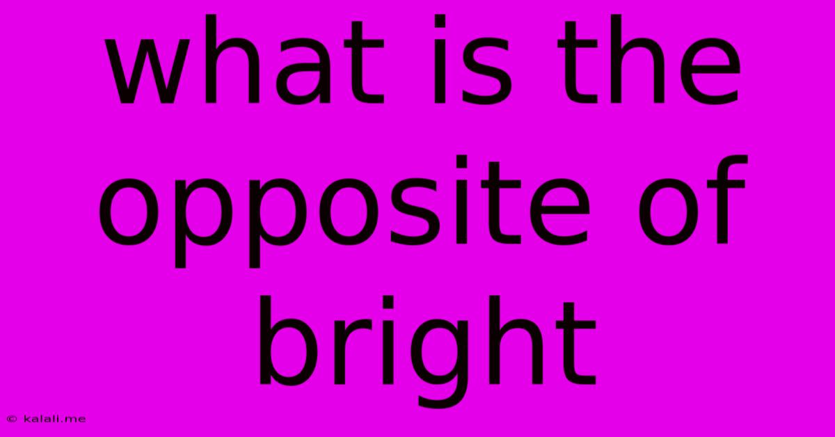 What Is The Opposite Of Bright