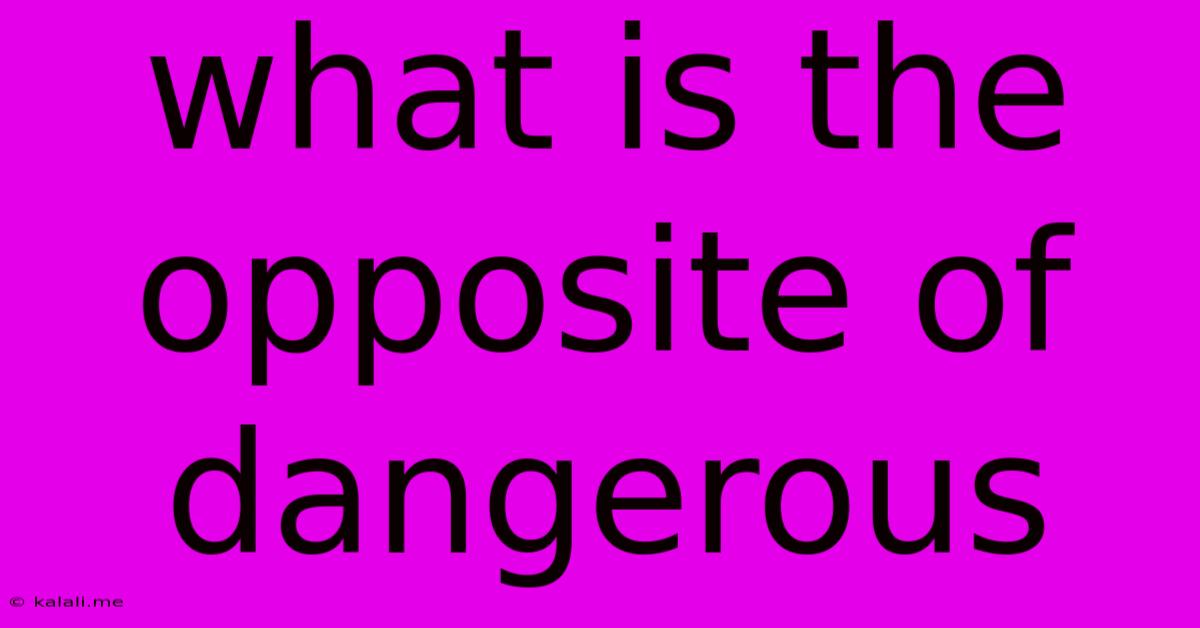 What Is The Opposite Of Dangerous