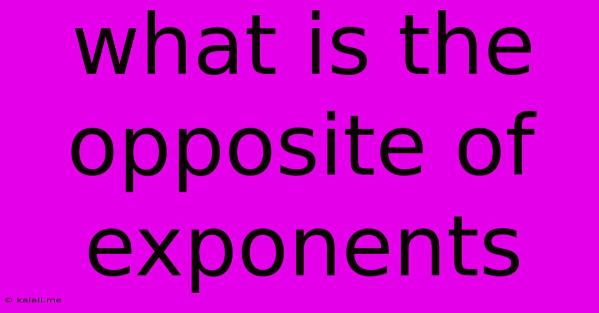 What Is The Opposite Of Exponents