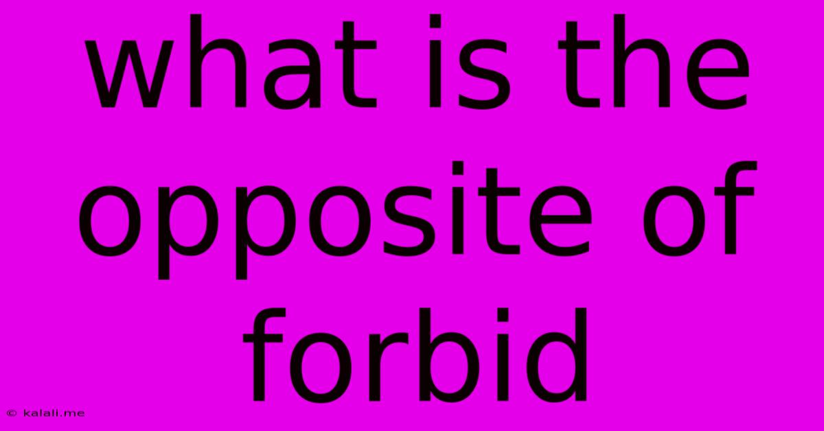 What Is The Opposite Of Forbid