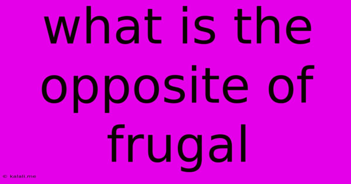 What Is The Opposite Of Frugal