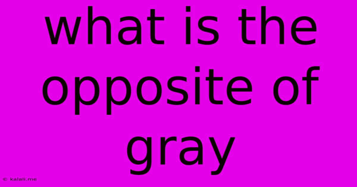 What Is The Opposite Of Gray
