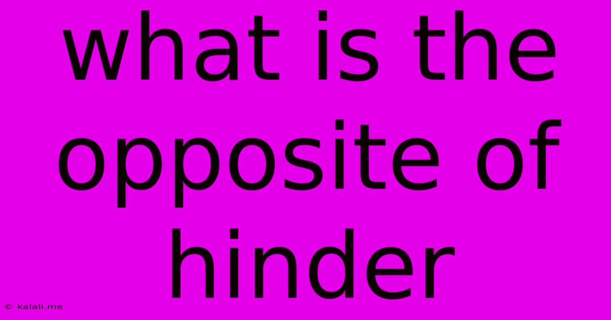 What Is The Opposite Of Hinder