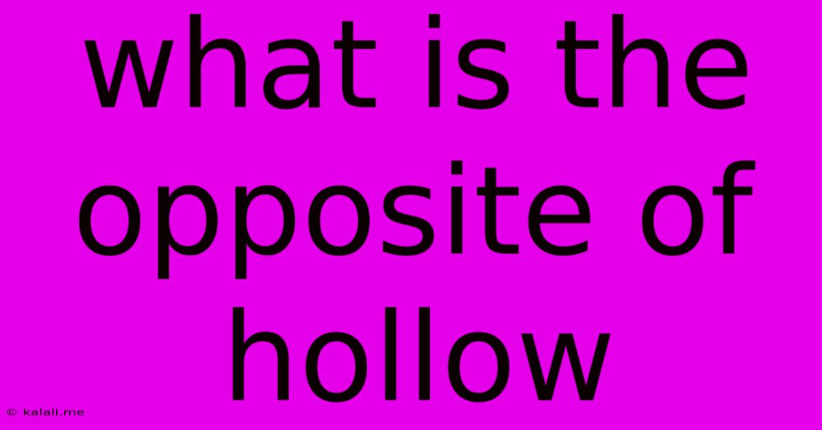 What Is The Opposite Of Hollow