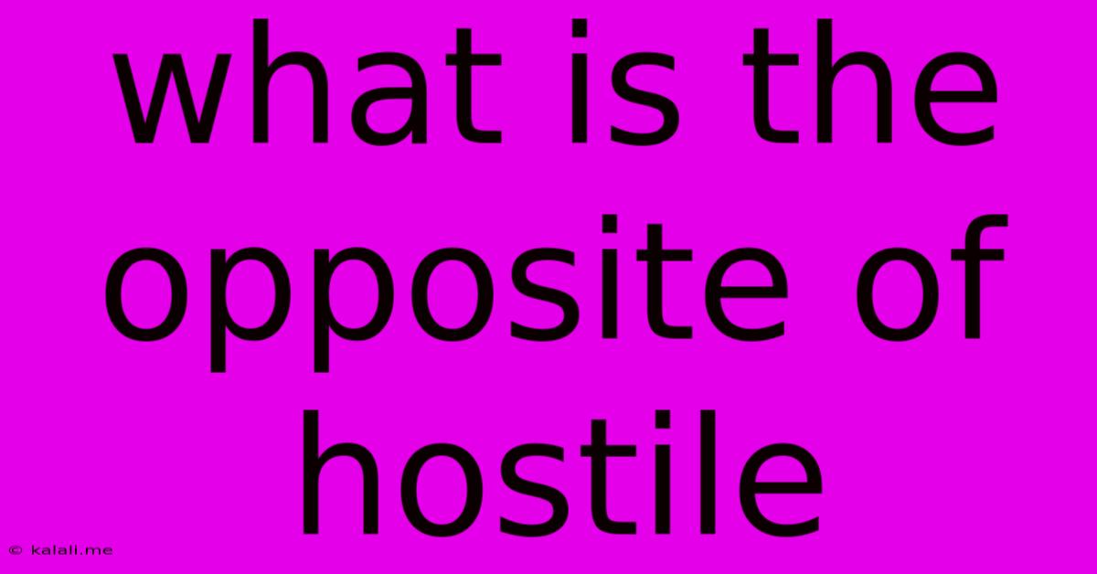 What Is The Opposite Of Hostile