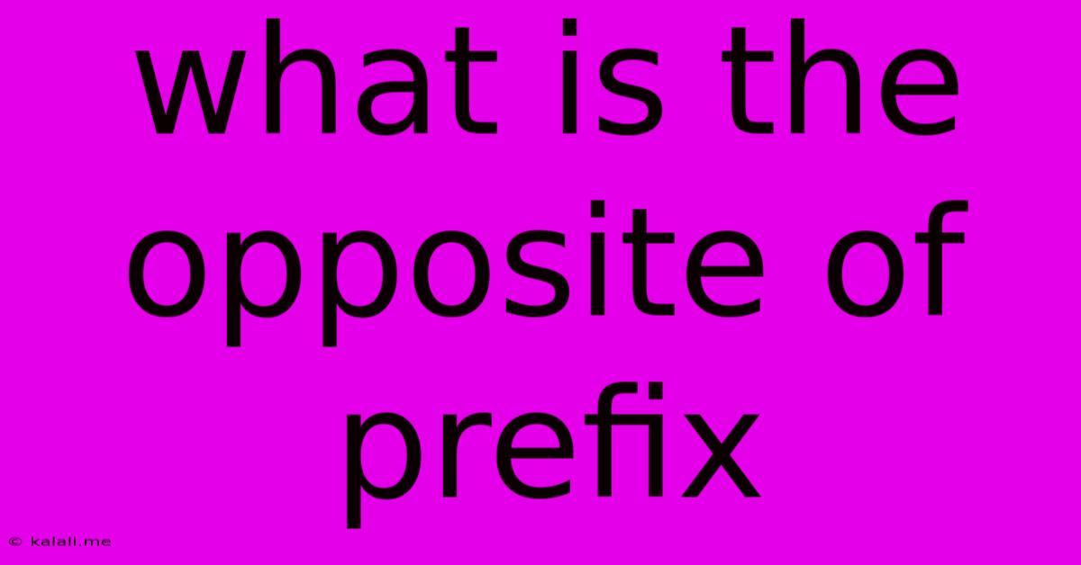 What Is The Opposite Of Prefix