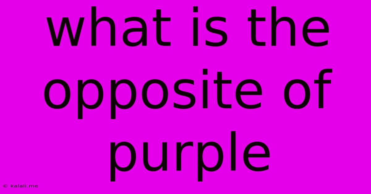 What Is The Opposite Of Purple
