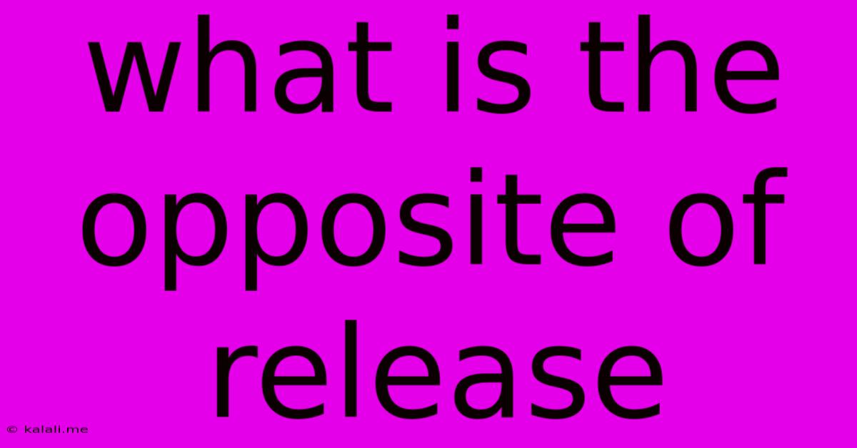 What Is The Opposite Of Release