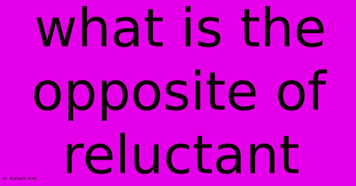 What Is The Opposite Of Reluctant
