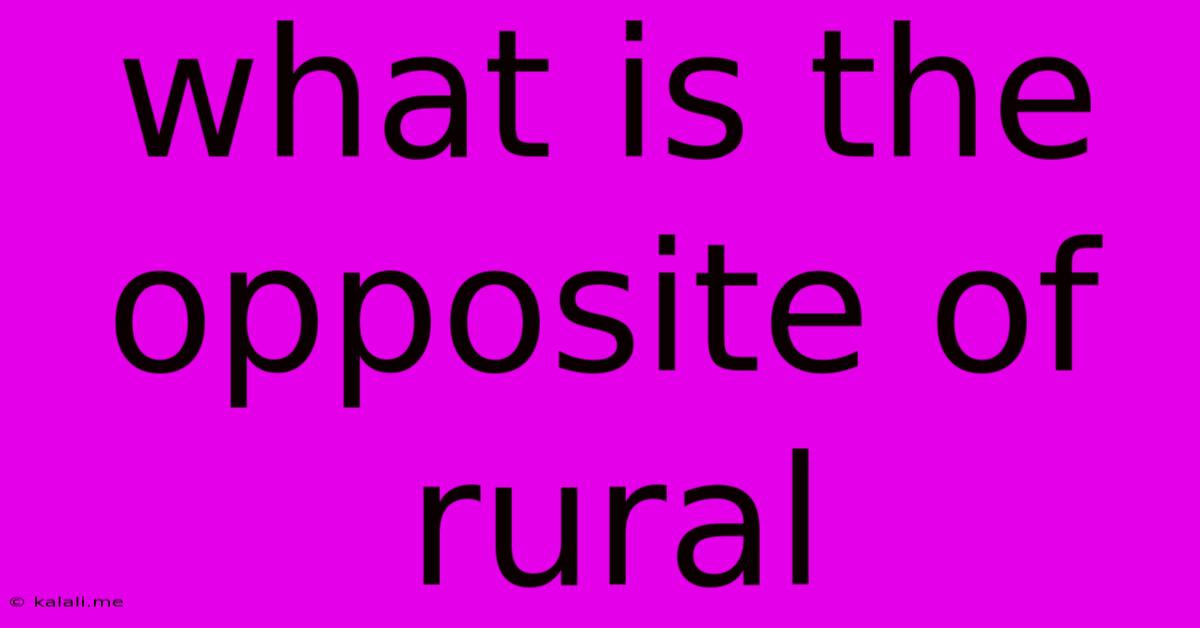 What Is The Opposite Of Rural