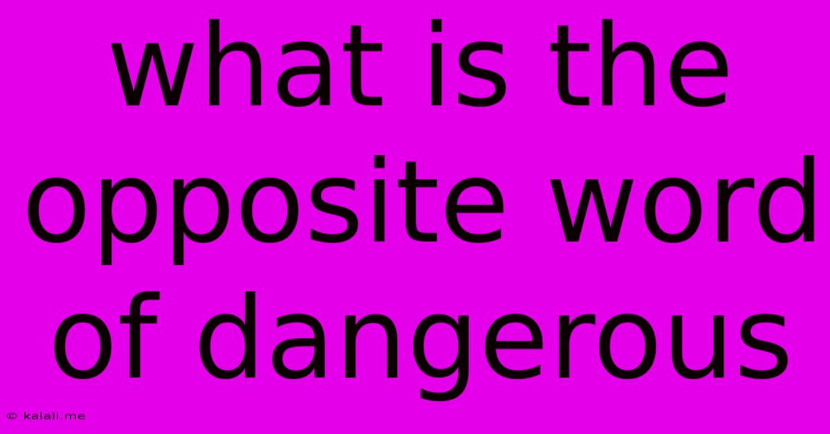 What Is The Opposite Word Of Dangerous