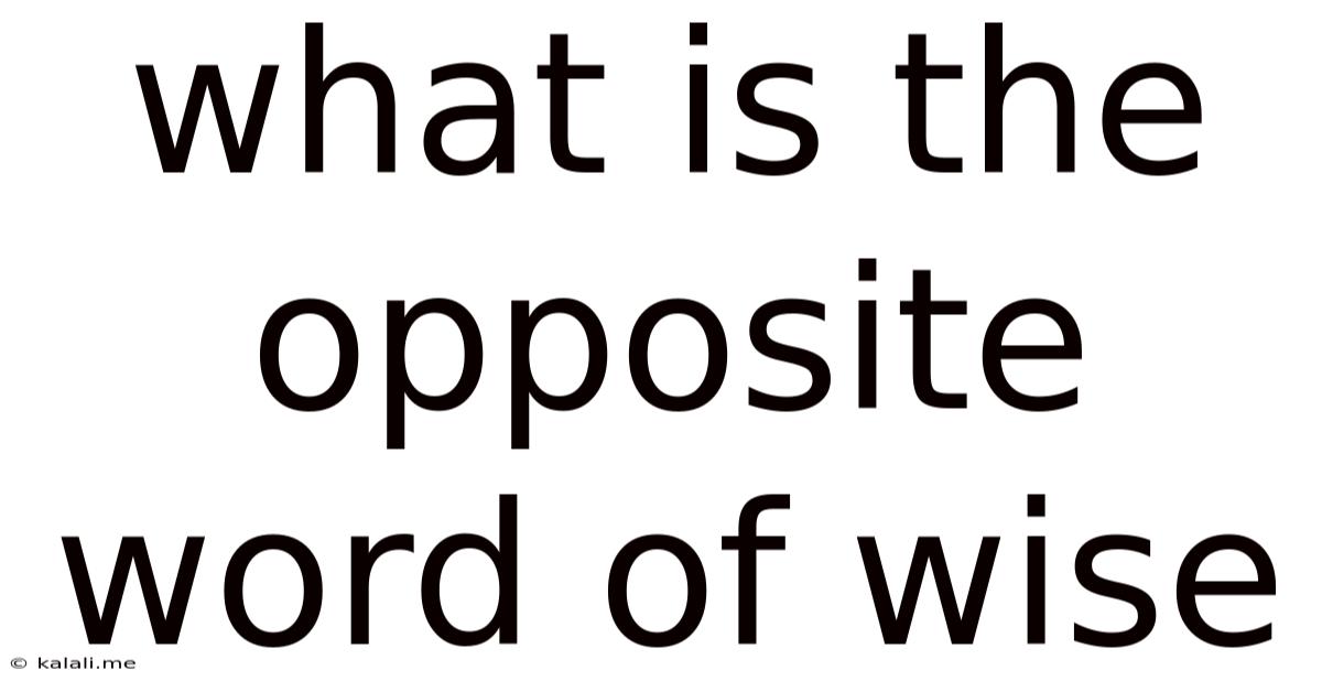 What Is The Opposite Word Of Wise