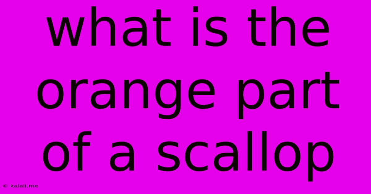 What Is The Orange Part Of A Scallop