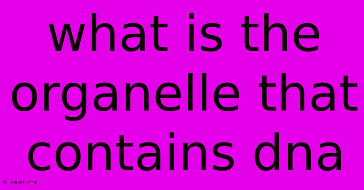 What Is The Organelle That Contains Dna